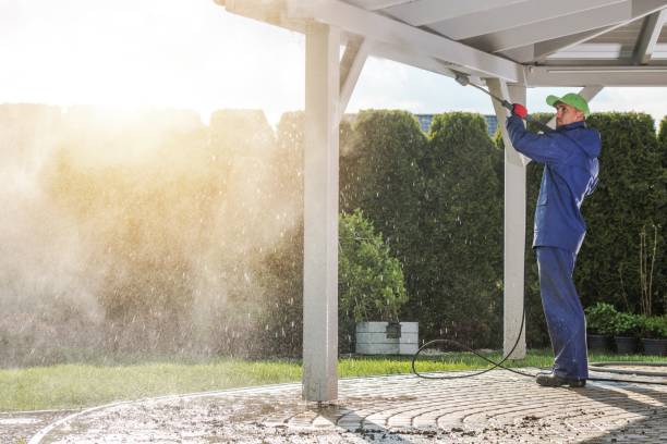 Trusted Union Park, FL Pressure Washing Services Experts